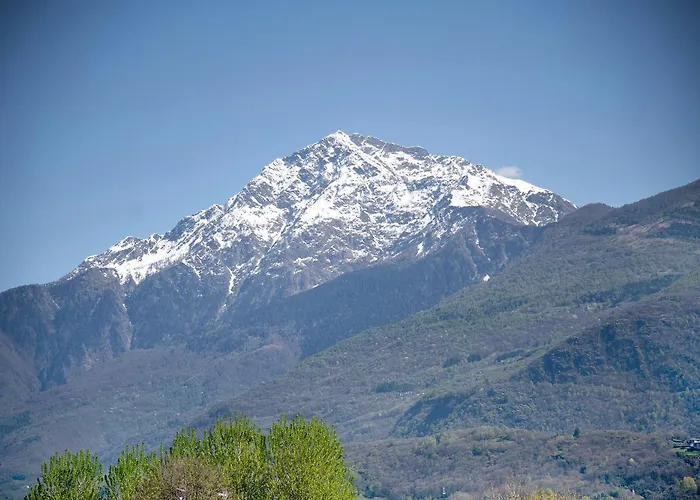 Vigna Del Dongo
